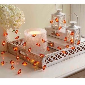 ‼️SOLD‼️ WATERMELON WARM WHITE LED STRING LIGHTS